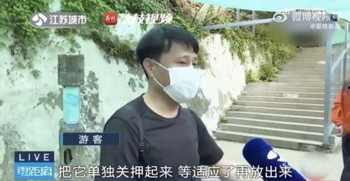 团队吃瓜的视频,趣味横生幕后花絮大揭秘