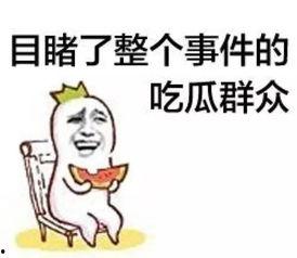 吃瓜群众29,一场全民参与的娱乐盛宴