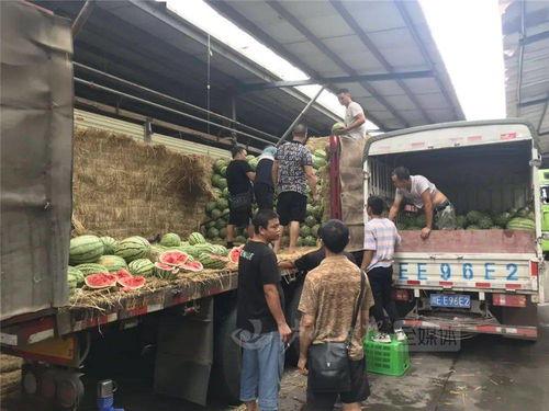 扬州的吃瓜热情,吃瓜热情点燃古城味蕾