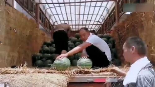 陕西跳舞吃瓜事件,网络热议背后的文化现象探讨
