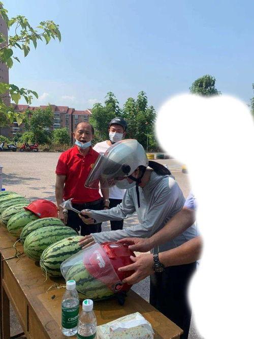 陕西跳舞吃瓜事件,网络热议背后的文化现象探讨