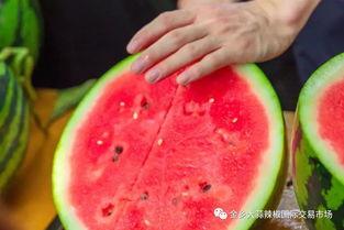 慌张椰子吃瓜,揭秘娱乐圈的幕后故事