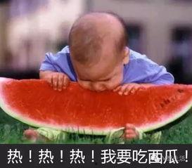 西瓜吃瓜视频大赛,西瓜吃瓜视频大赛精彩瞬间大盘点