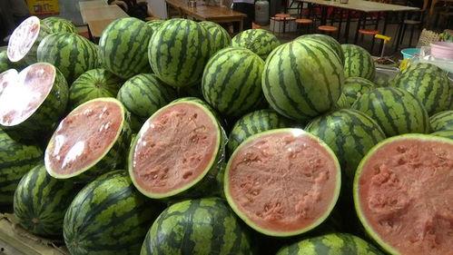 他俩吃别人的瓜,揭秘他们背后的八卦风云