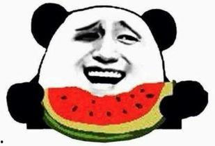 吃瓜群众蹲地吃瓜视频,揭秘网络热传视频背后的吃瓜文化