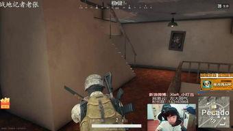 吃瓜机器喵,揭秘娱乐圈幕后那些事儿