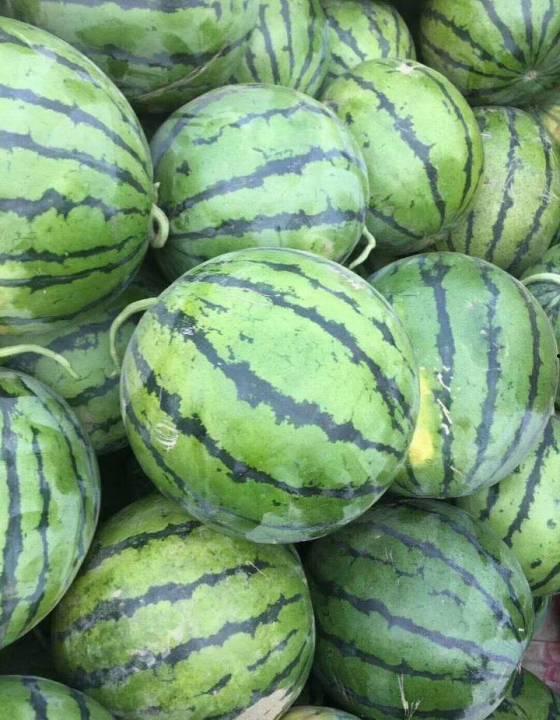 石家庄新乐吃瓜,石家庄的清凉味蕾之旅