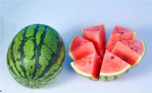 石家庄新乐吃瓜,石家庄的清凉味蕾之旅