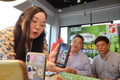 吃瓜直播卖衣服