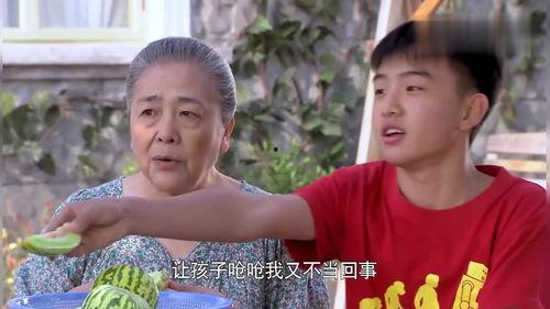 吃瓜网老杨,揭秘网络红人的幕后故事