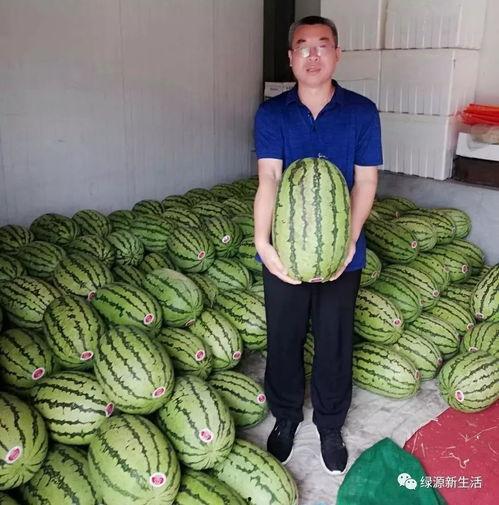 围观的吃瓜者,揭秘网络舆论背后的故事