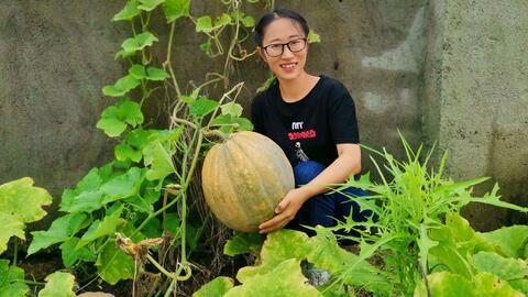 情侣生活趣事吃瓜,情侣生活中的那些趣味吃瓜故事