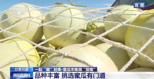 甘肃吃瓜在线,探寻甘肃美食的独特魅力