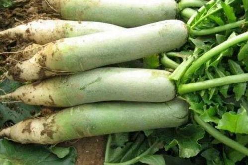 qq的吃瓜大队,揭秘网络舆论场的风云变幻