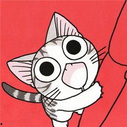 吃瓜猫头像卡通,萌态可掬的卡通形象，带你领略趣味生活