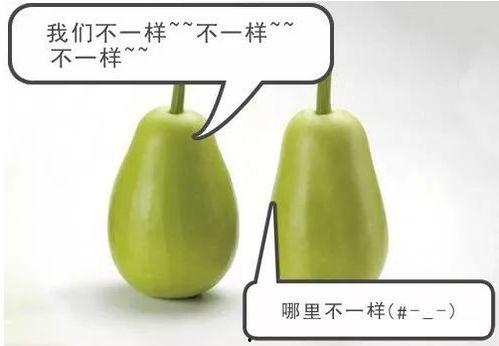 安医生怎么吃瓜,轻松解锁娱乐圈八卦新姿势