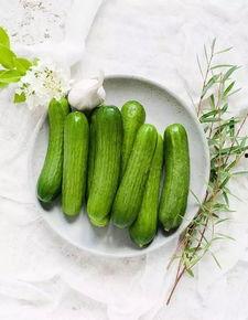 越吃越有的瓜,揭秘瓜类美食的神奇魅力