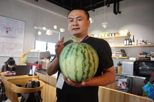 山西吃瓜直播,吃瓜直播带你一网打尽