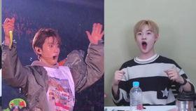 郑在玹吃瓜,揭秘娱乐圈幕后故事