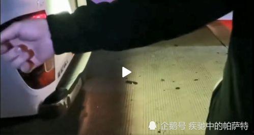 宁波吃瓜事件视频播放,网络热议背后的真相揭秘