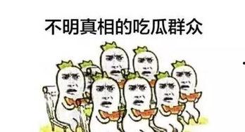 走起吃瓜群众,揭秘网络热议背后的真相与趣味