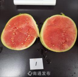 南通 吃瓜,瓜果飘香，品味生活