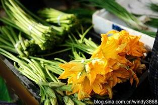 贵州吃小瓜视频,舌尖上的乡愁与风情