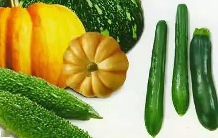 等着吃瓜的图片,揭秘“等着吃瓜”的神秘世界