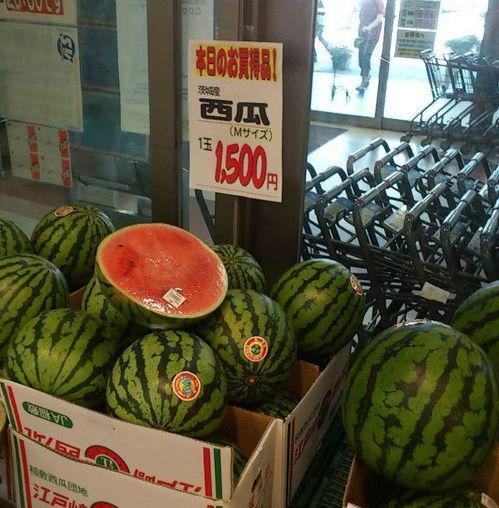 自由吃瓜头像插画,插画中的生活哲学