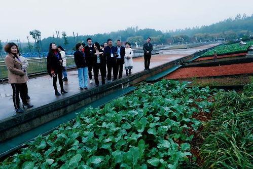 江西水利吃瓜,吃瓜群众见证水利发展新篇章