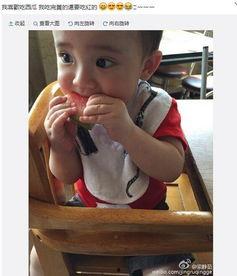 吃瓜照片萌,萌态照片背后的趣味故事