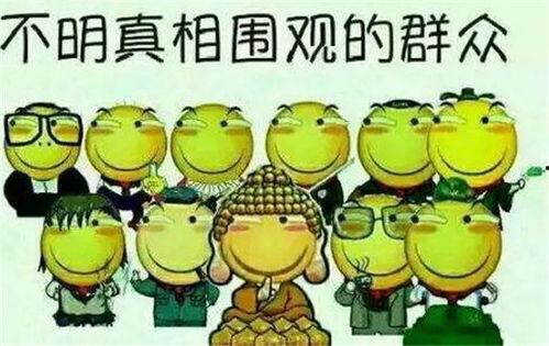 吃瓜群众报复消费,一场全民反击的狂欢