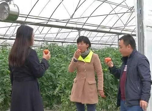 东莞吃瓜群众围观