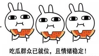 安静吃瓜开心度日,揭秘安静生活的快乐秘诀