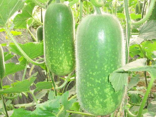 824 421吃瓜,揭秘娱乐圈最新热点事件