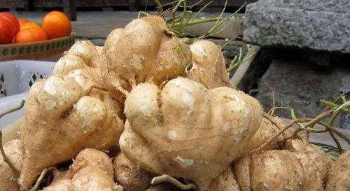 经常吃土瓜,探寻民间土瓜的独特魅力