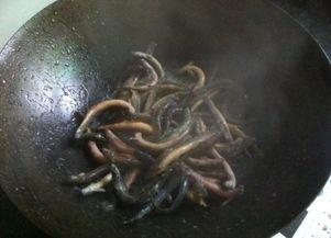 佛手瓜和泥鳅能一起吃吗,健康搭配的饮食新选择