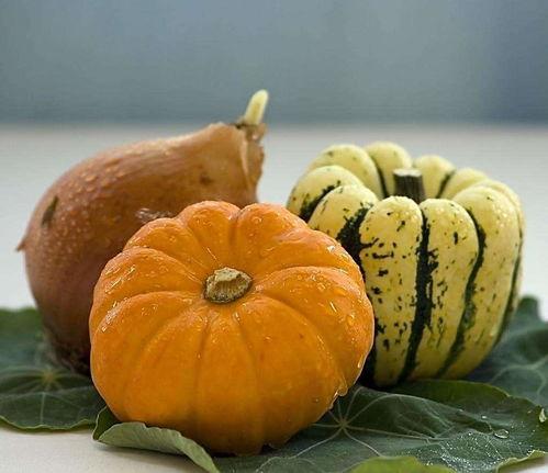 除了南瓜还有啥瓜可以吃,南瓜之外，这些瓜类同样美味可口