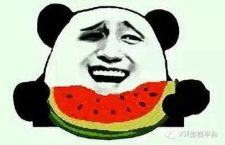 奉献吃瓜群众,见证时代变迁