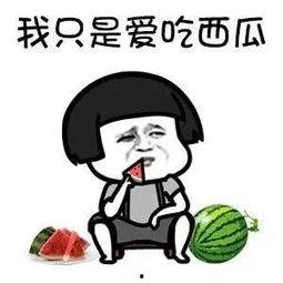 快乐吃瓜群,揭秘网络社交的欢乐盛宴