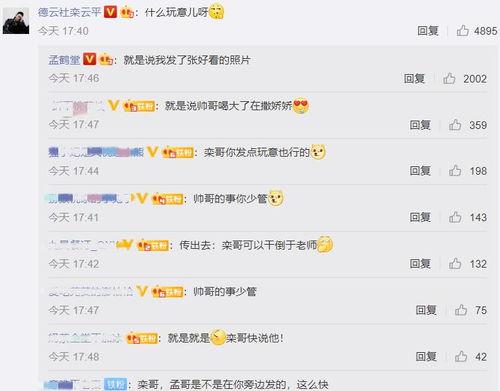 吃瓜评论区 图片高清