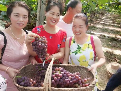 湖北鄂州吃瓜父女,鄂州“吃瓜父子”现象引发社会热议