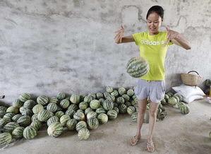 湖北鄂州吃瓜父女,鄂州“吃瓜父子”现象引发社会热议