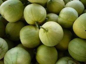 广播吃瓜,揭秘娱乐圈幕后故事