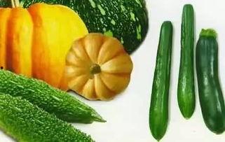 广播吃瓜,揭秘娱乐圈幕后故事